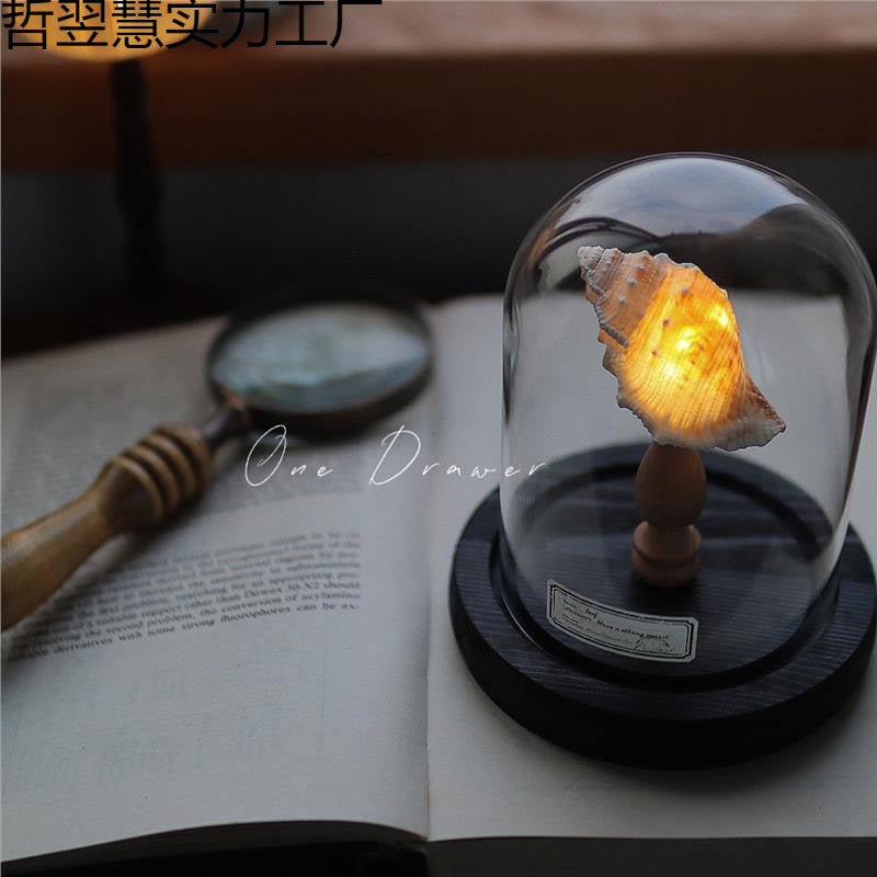 Ocean Island Retro Shell Sea Urchin Conch Lamp Night Light Ornaments Handmade DIY Material Package Mid-Autumn Festival Gift