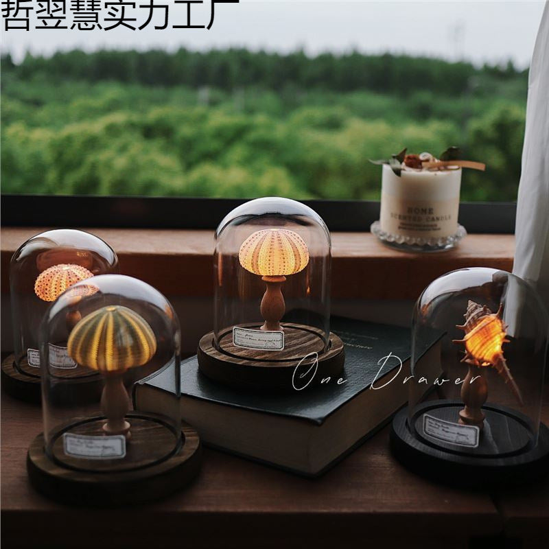 Ocean Island Retro Shell Sea Urchin Conch Lamp Night Light Ornaments Handmade DIY Material Package Mid-Autumn Festival Gift