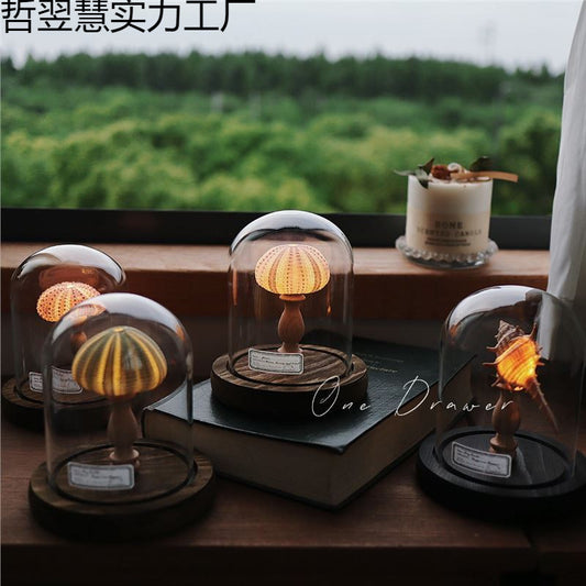 Ocean Island Retro Shell Sea Urchin Conch Lamp Night Light Ornaments Handmade DIY Material Package Mid-Autumn Festival Gift