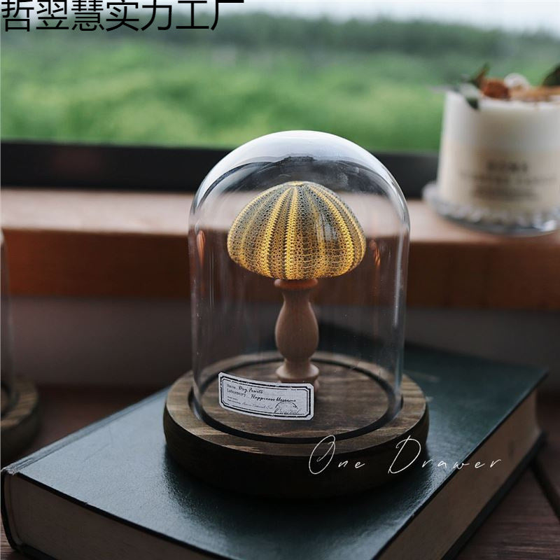 Ocean Island Retro Shell Sea Urchin Conch Lamp Night Light Ornaments Handmade DIY Material Package Mid-Autumn Festival Gift